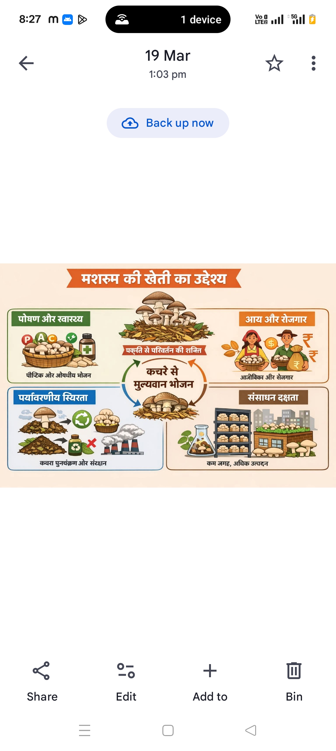 Mushroom Cultivation Kit